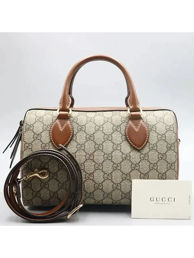 409529 2 WAY bag