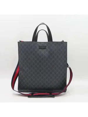 495559 2 WAY bag