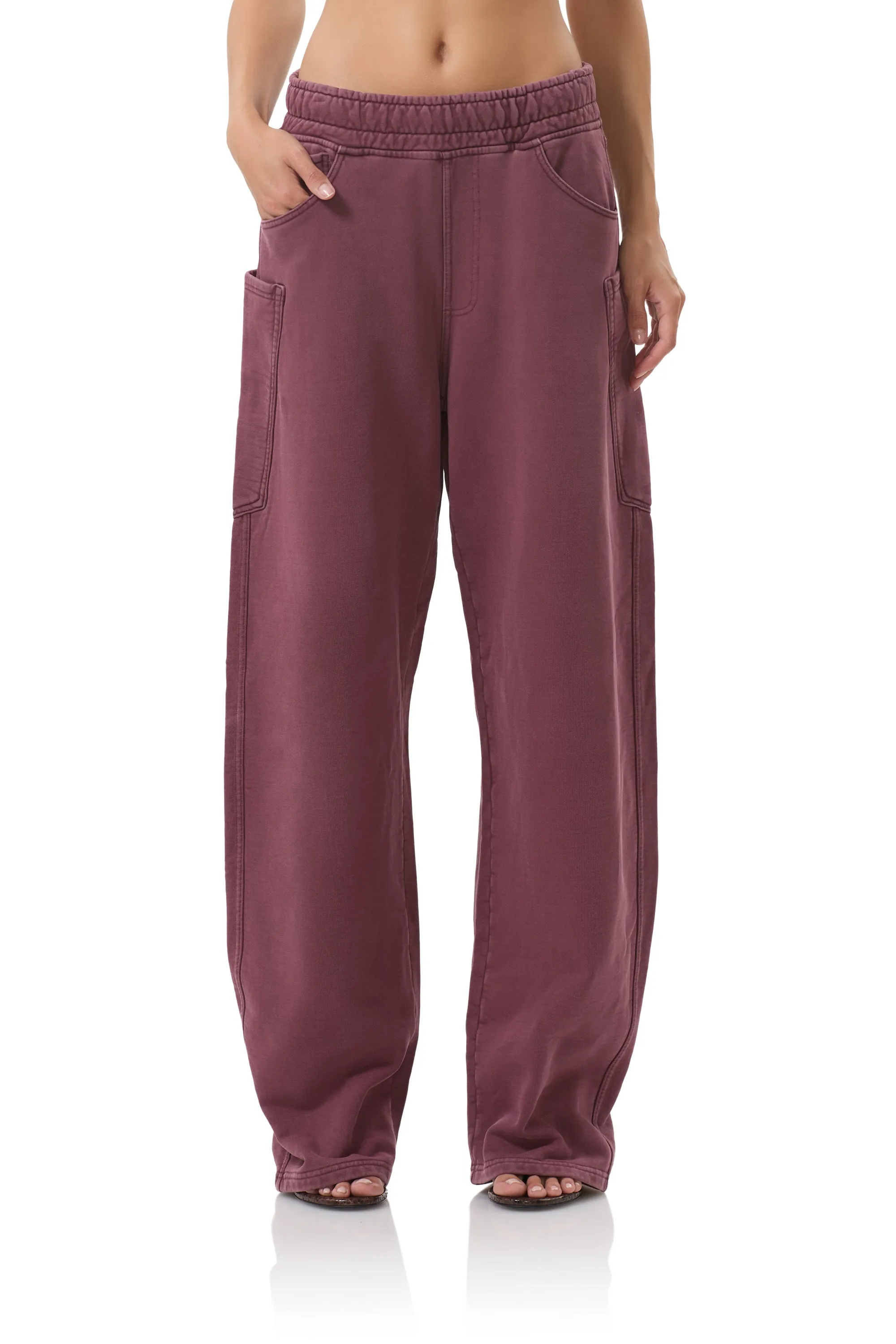 AntiStaticFinish Ryan Barrel Sweatpant - Fig