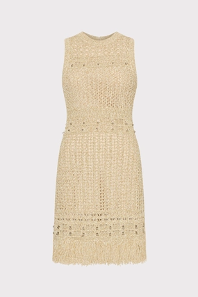Beaded Fringe Knit Mini Dress Classic Warmth