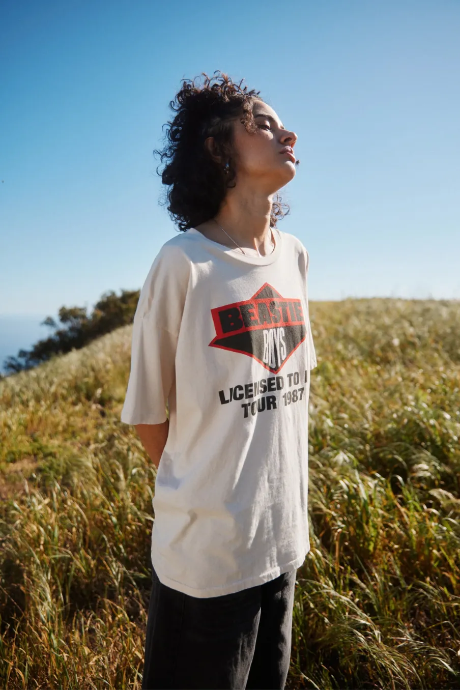 beastie boys licensed to ill tour 1987 merch tee