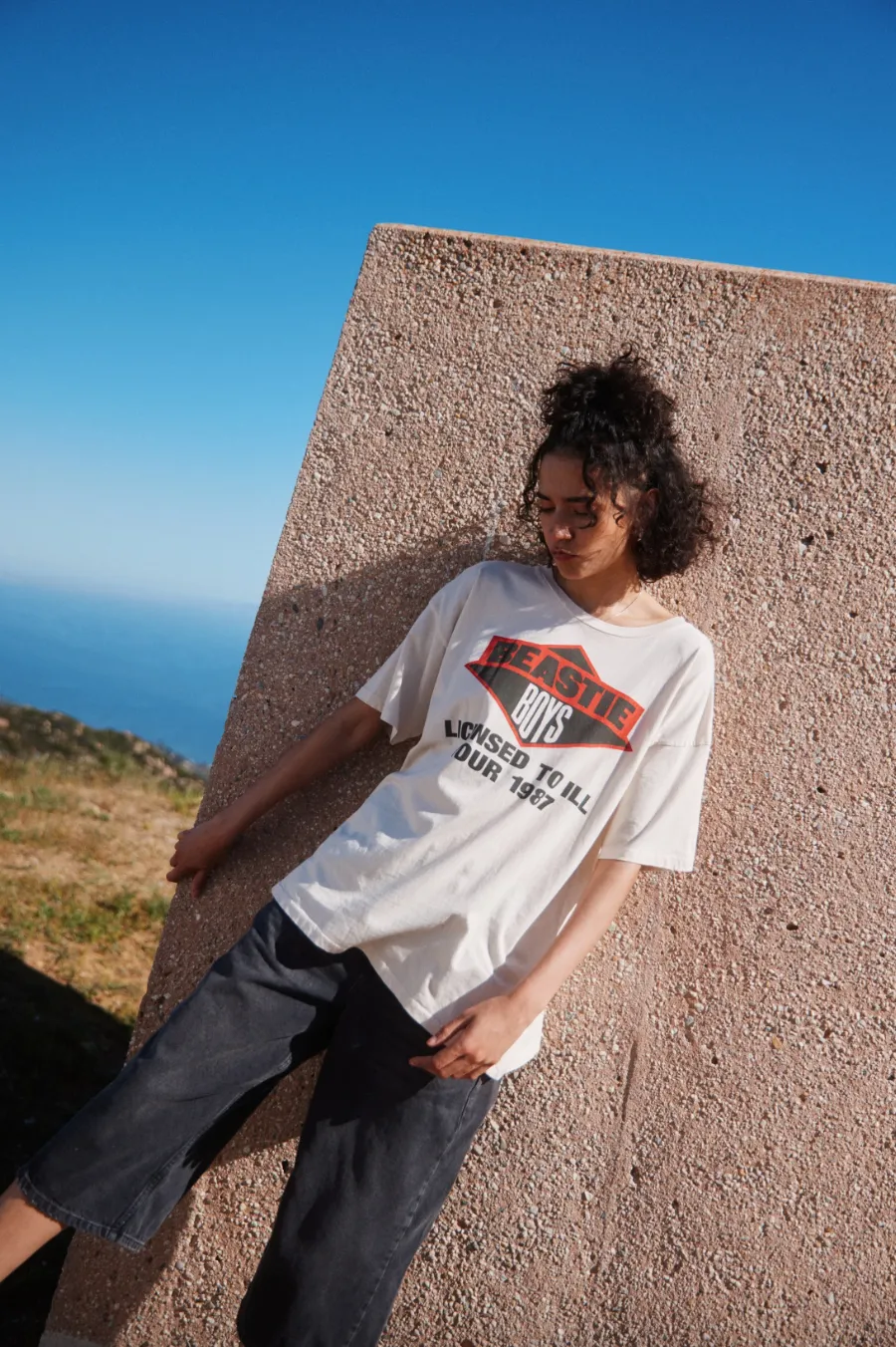 beastie boys licensed to ill tour 1987 merch tee