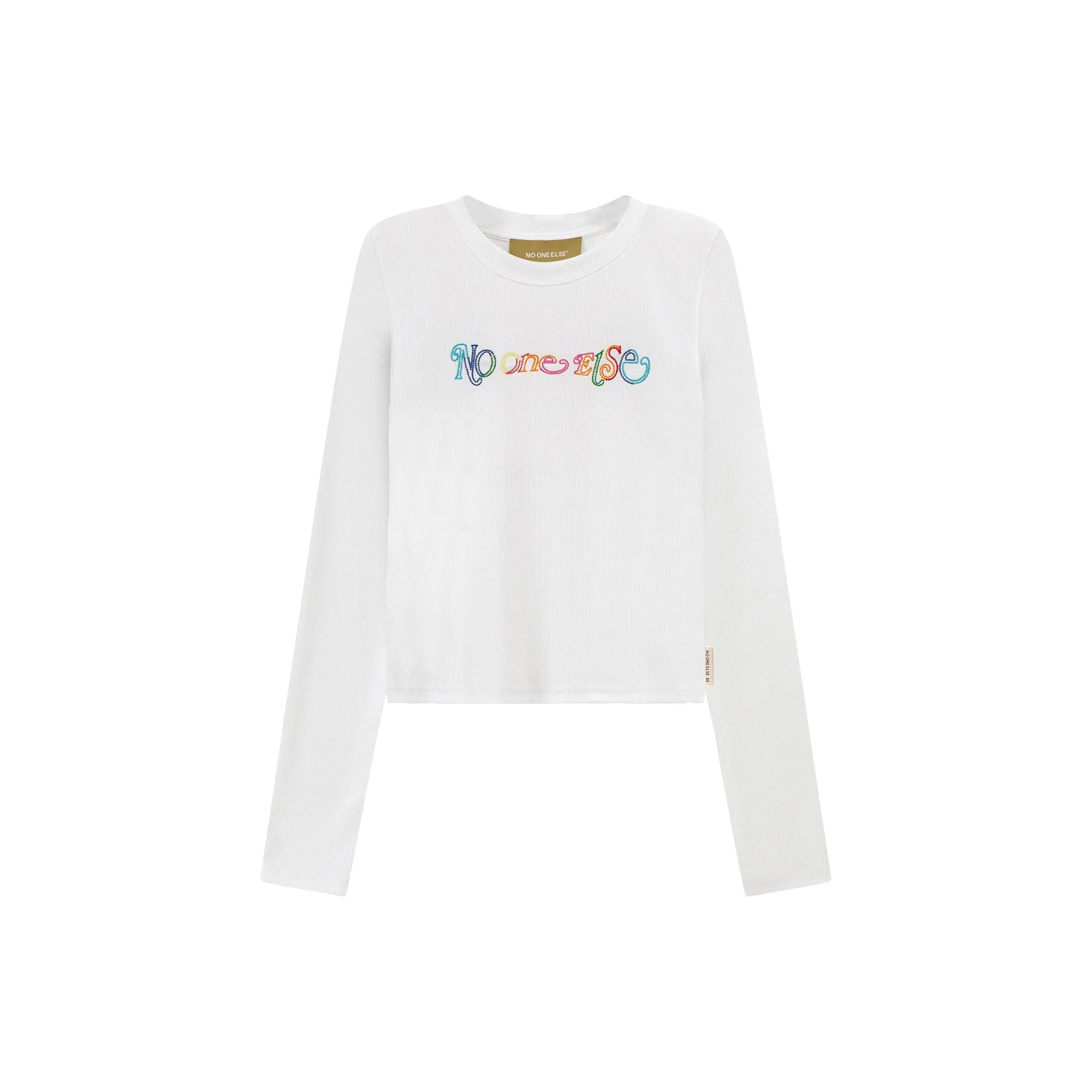 Color Embroidered Cropped T-Shirt