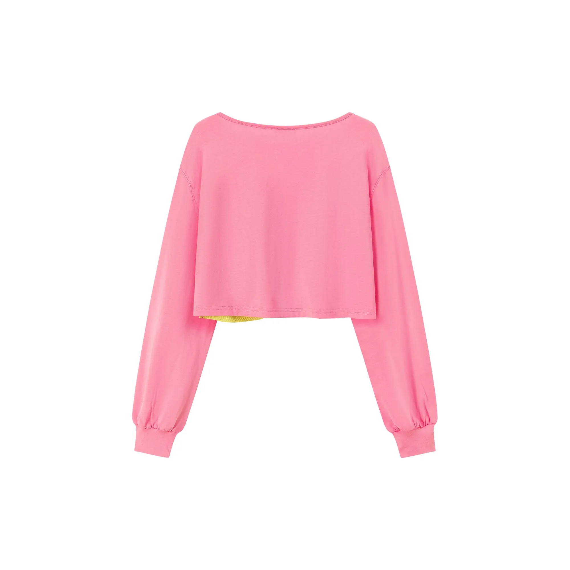 Color Matching Asymmetrical Layer Cropped T-Shirt