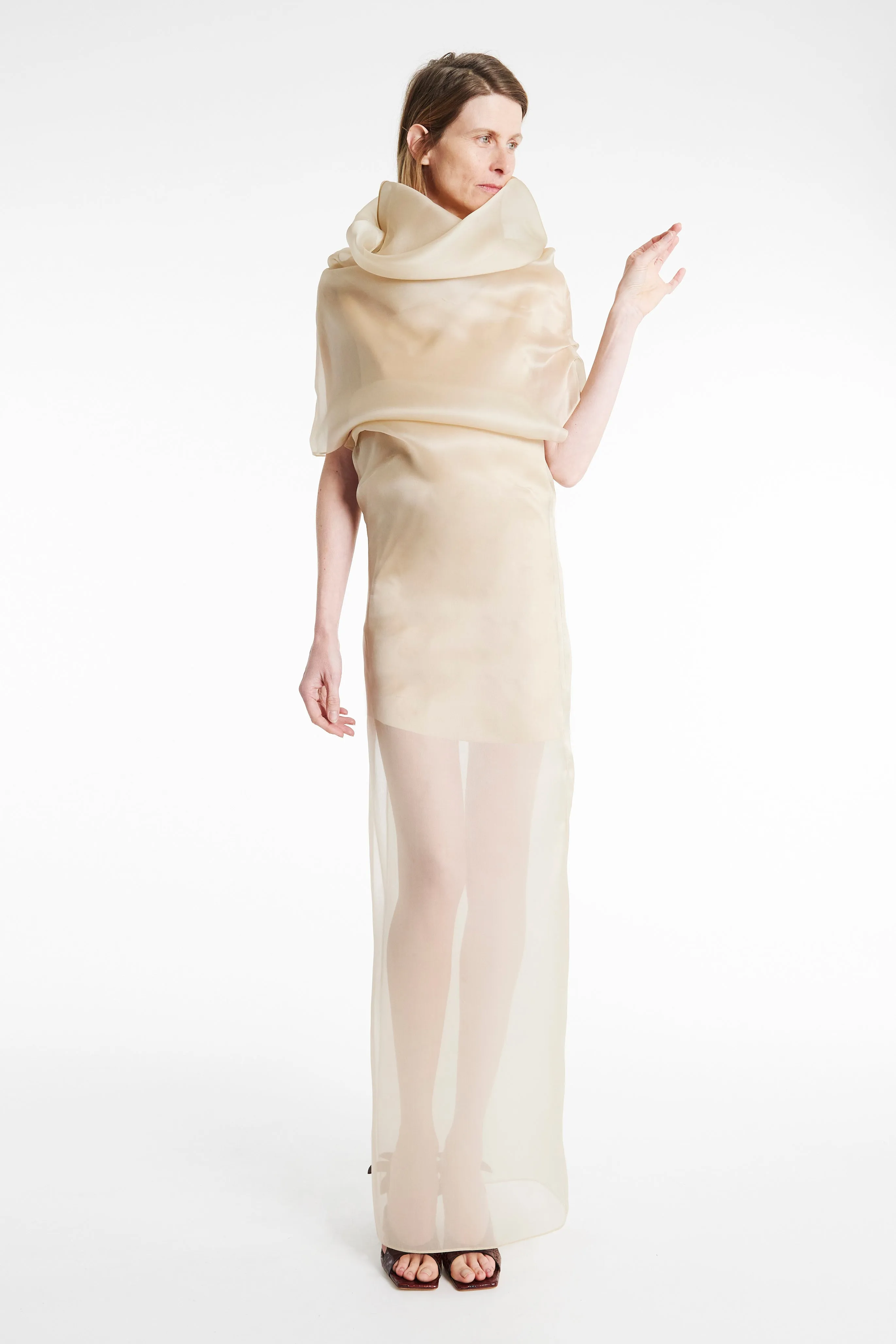 Comfort Mode Organza Dress Champagne