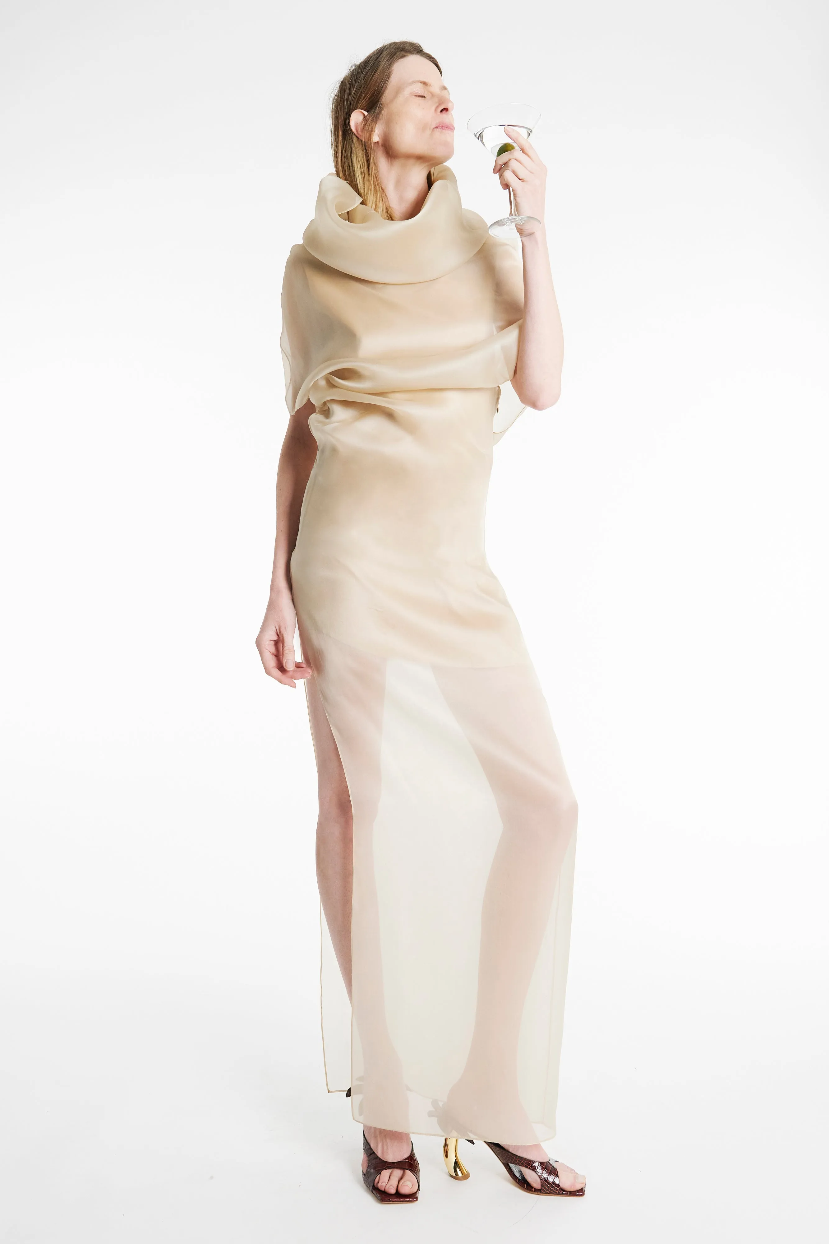 Breezy Style Style Option Organza Dress Champagne