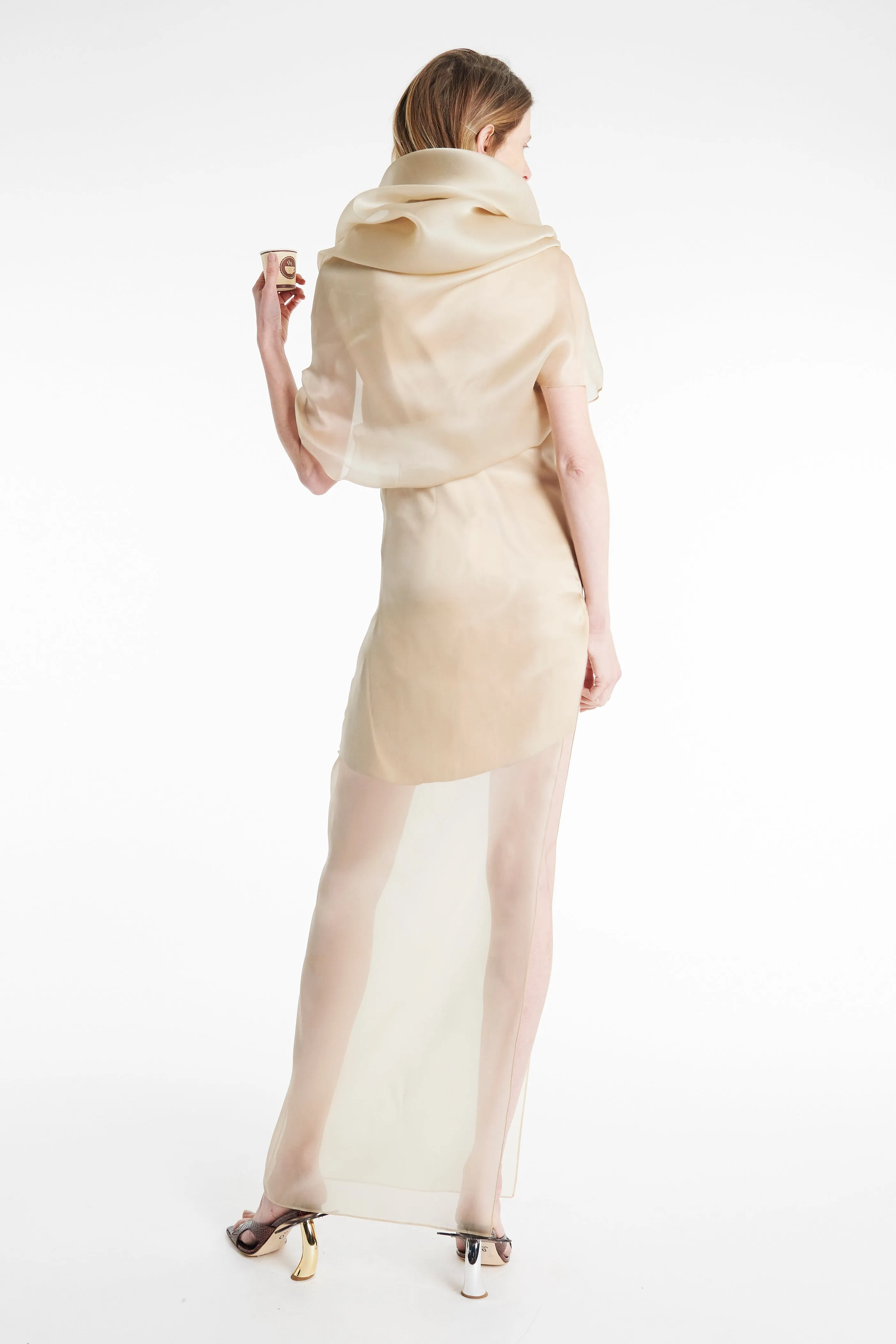Youthful Mood Organza Dress Champagne