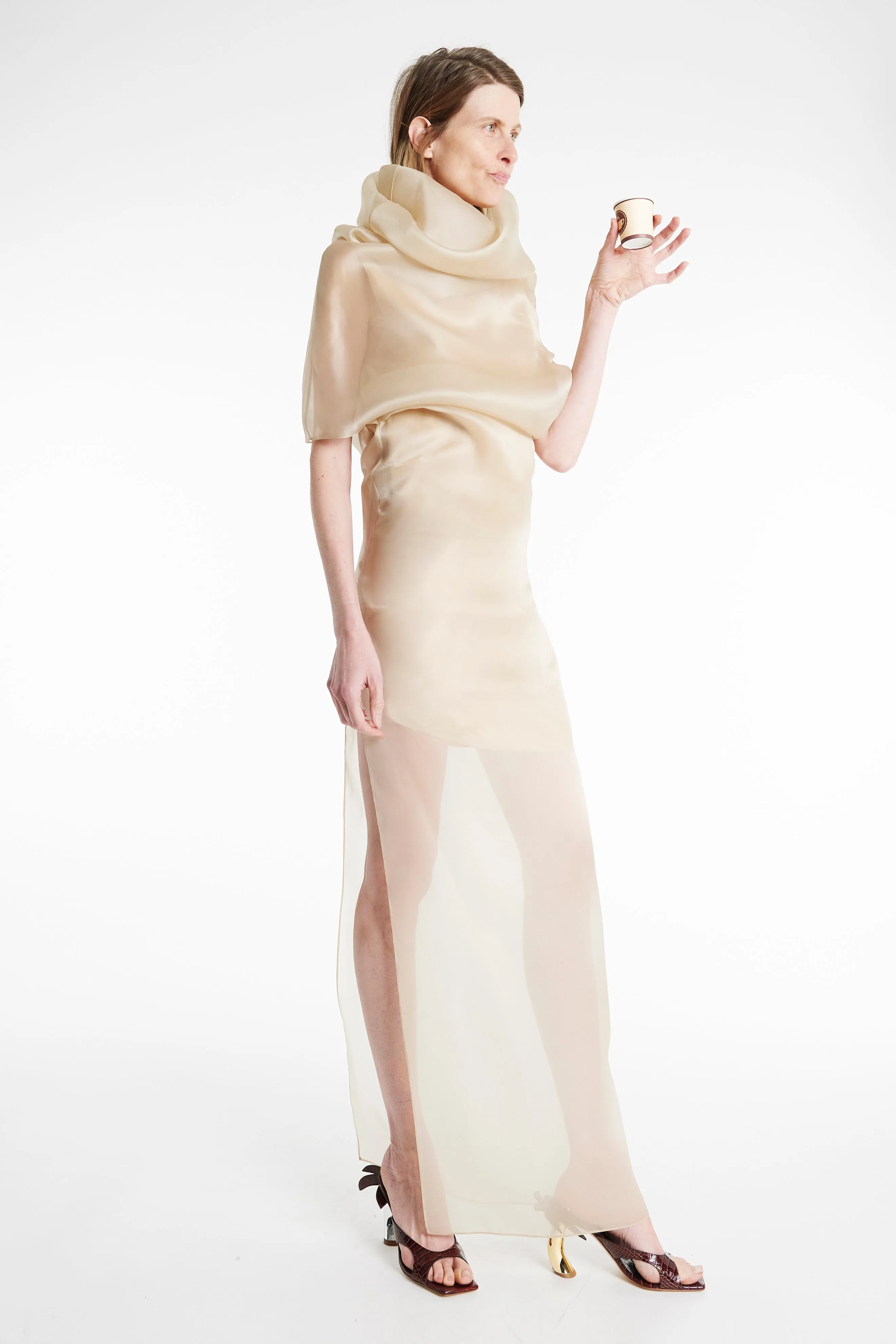 Silky texture Cute Glow Organza Dress Champagne