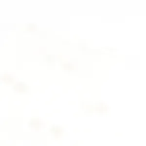 Flocked Dot Tulle - Ivory