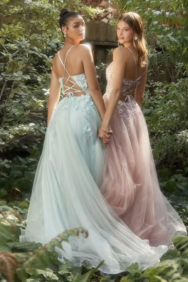 Floral Applique A-Line Scoop Neck Adjustable Open Back Bodice Long Boho & Prom Dress CDA1142