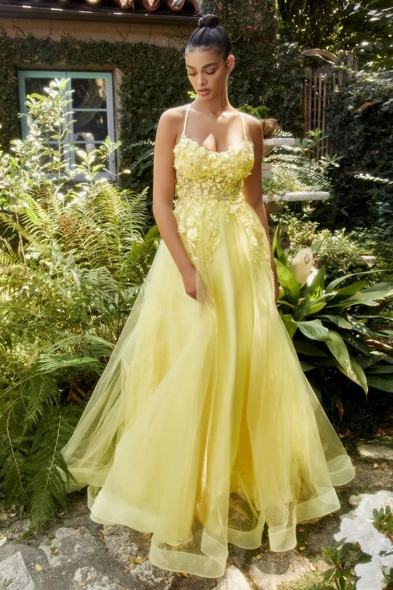 Floral Applique A-Line Scoop Neck Adjustable Open Back Bodice Long Boho & Prom Dress CDA1142