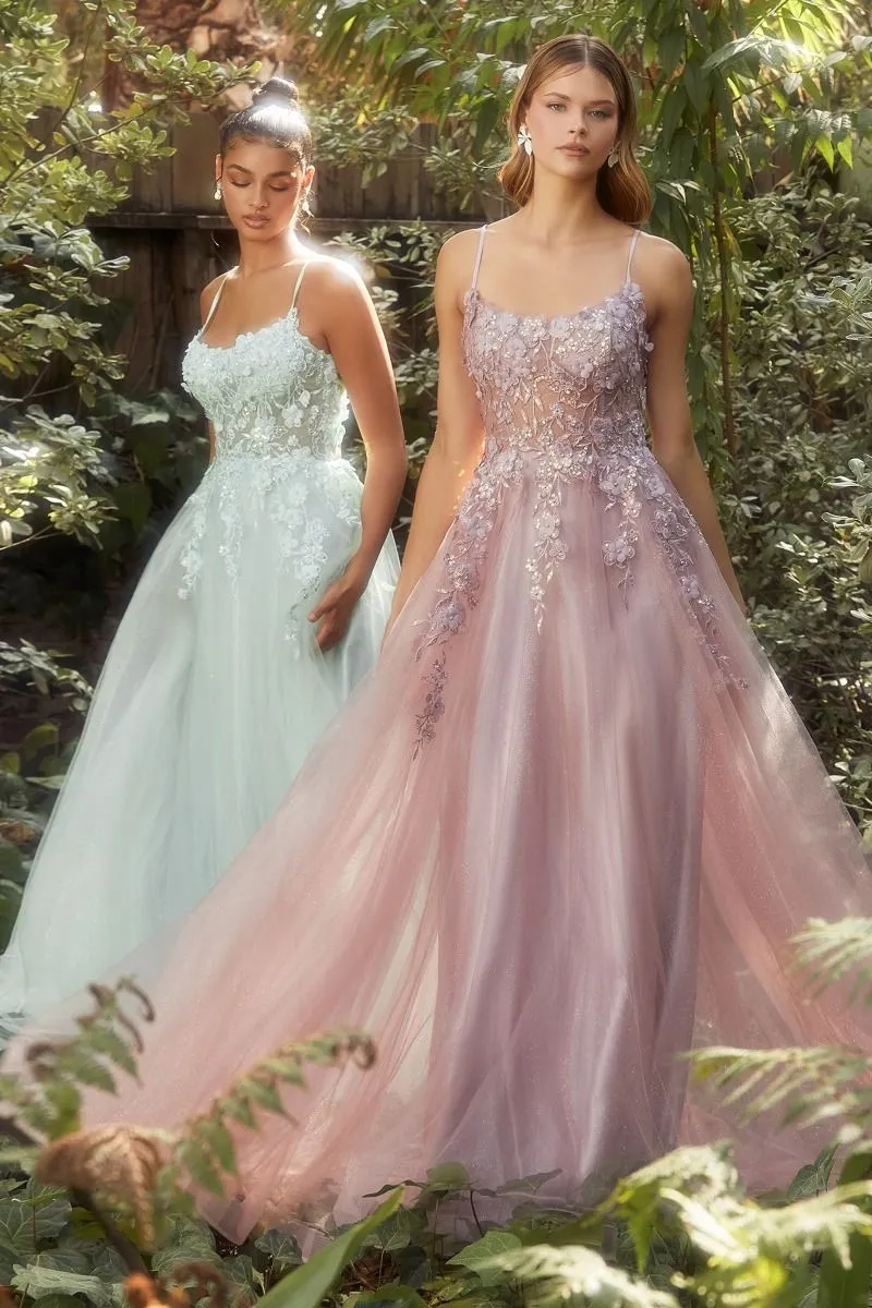 Floral Applique A-Line Scoop Neck Adjustable Open Back Bodice Long Boho & Prom Dress CDA1142