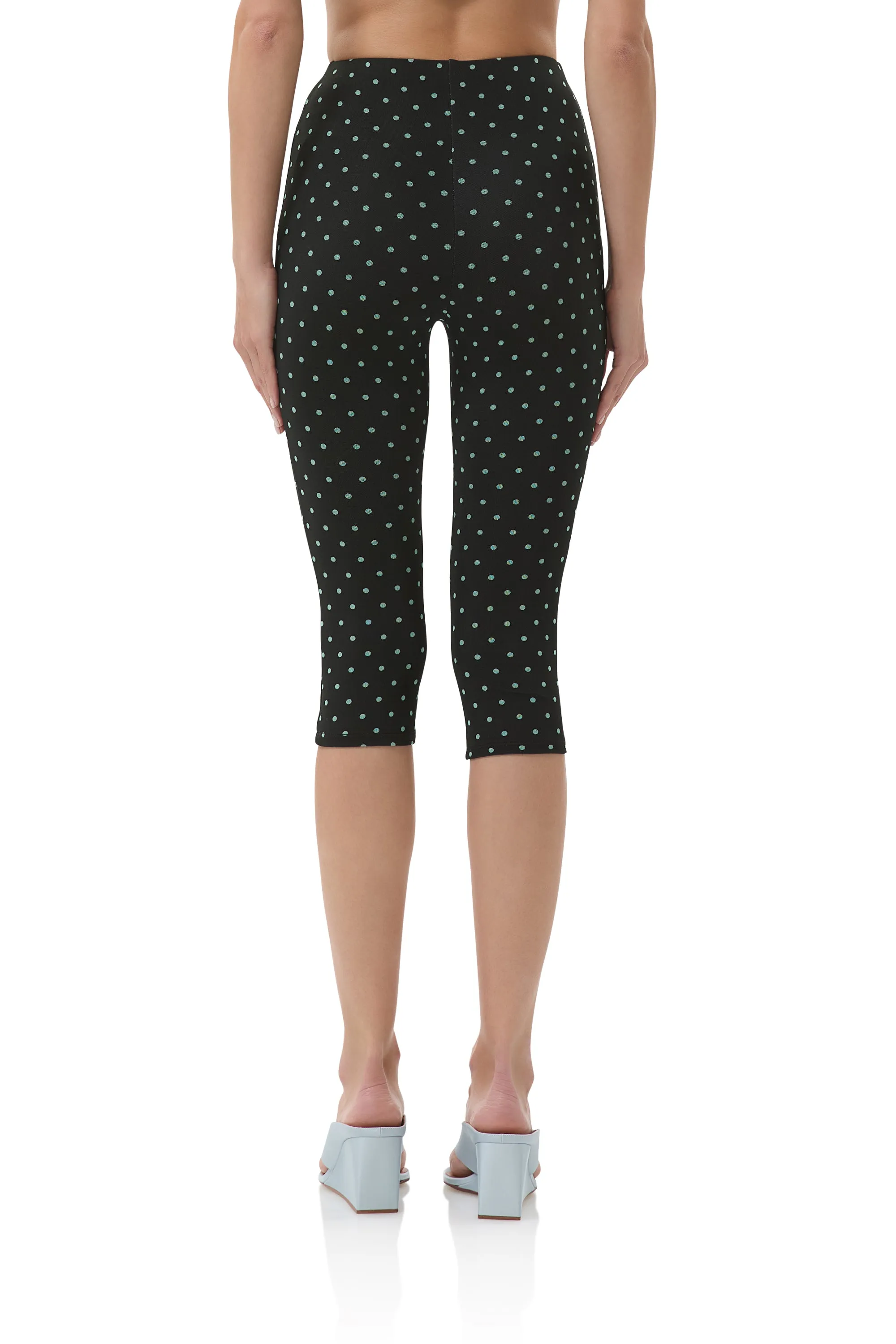 Moisture Management WrinkleResistantMaterial Gianna Capri Pant - Aqua Dot