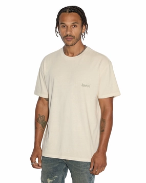ALL DAY BIGGIE SS TEE DESERT Fresh Style
