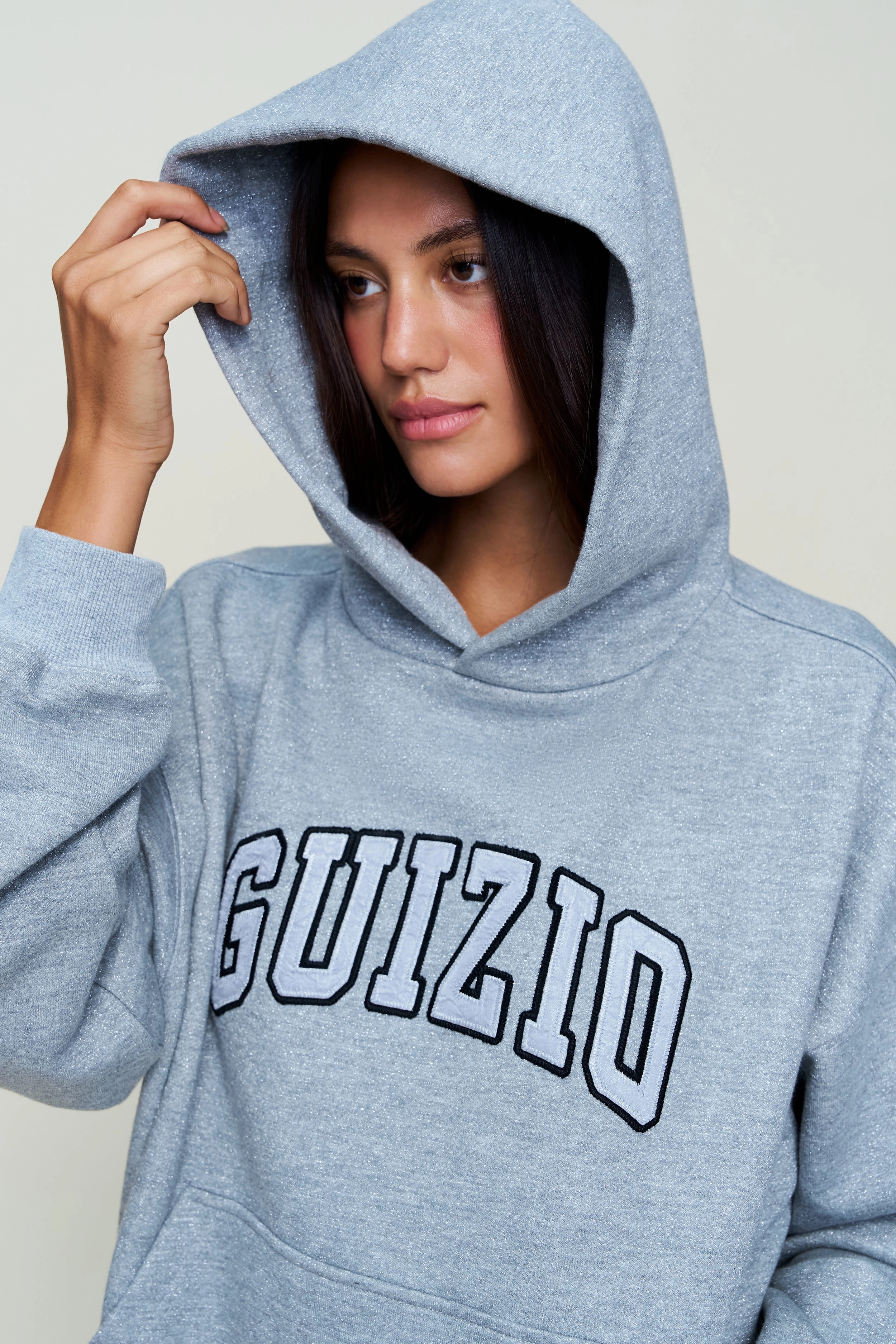 Layered Cable Pattern Texture Tone Guizio Sparkle Pullover Hoodie